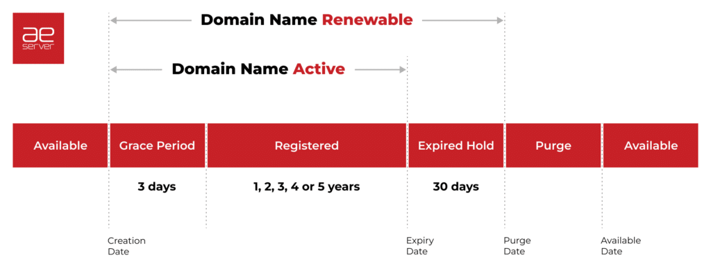 .ae domain name life cycle chart, official