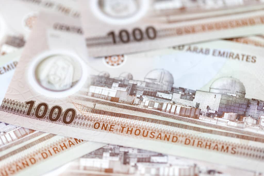 .ae domain sale history