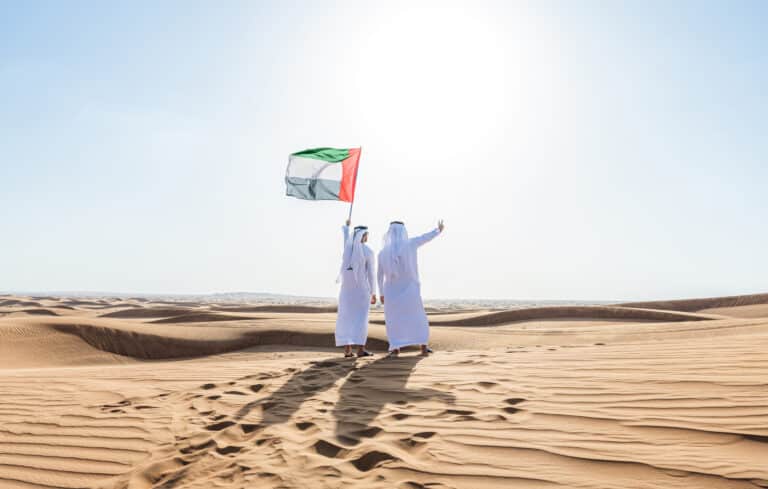 uae domain name history