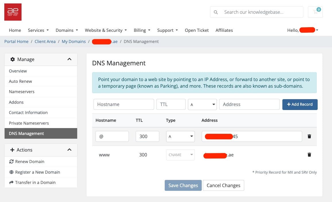 AEserver DNS Management Tool: Add & Manage DNS Records